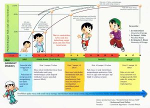 Hal Penting Tentang Perkembangan Bayi Yang Perlu Diketahui Panduan Lengkap Untuk Orang Tua Dan Pendidik