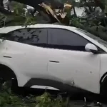 Hujan Angin Di Bogor Pohon Tumbang Timpa Rumah Mobil 1 Warga Luka