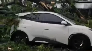 Hujan Angin Di Bogor Pohon Tumbang Timpa Rumah Mobil 1 Warga Luka