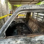 Cinta Ditolak Pemuda Bakar Kandang Sapi Dan Mobil Ortu Pacar Di Buleleng