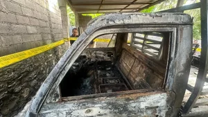 Cinta Ditolak Pemuda Bakar Kandang Sapi Dan Mobil Ortu Pacar Di Buleleng